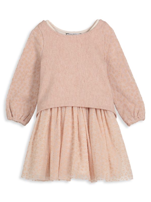 Pippa & Julie Little Girl's 2-Piece Sweater & Dress Set